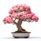 Accurate And Detailed Carnation Bonsai Tree Sculpture In Pink Blossom Bowl