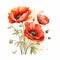 Accurate And Detailed Watercolor Poppy Painting With White Fire Flowers