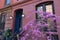 Ace of Hearts Redbud Tree next to a Row of Old Residential Buildings in the East Village of New York City during Spring