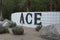 ACE hotel Palm Springs, California
