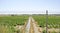 Acequia or irrigation ditch next to the airport fence in Delta del Llobregat, El Prat del Llobregat