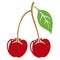 Acerola cherry superfood fruit