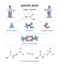 Acetic acid formula or vinegar substance chemical description outline diagram