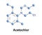 Acetochlor herbicide chloroacetanilide