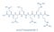Acetyl hexapeptide-3 argireline molecule. Peptide fragment of SNAP-25. Used in cosmetics to treat wrinkles. Skeletal formula.