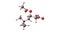 Acetyl-L-carnitine molecular structure isolated on white