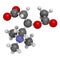 Acetylcarnitine (ALCAR) nutritional supplement molecule. Atoms are represented as spheres with conventional color coding: hydrogen