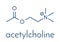 Acetylchloline ACh neurotransmitter molecule. Skeletal formula.