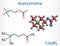 Acetylcholine, ACh molecule. It is parasympathomimetic neurotransmitter, vasodilator agent, hormone, human metabolite. Structural