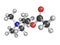 Acetylcholine (ACh) neurotransmitter, molecular model