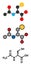 Acetylcysteine (NAC) mucolytic drug, chemical structure. Also used to treat paracetamol overdose