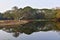 The Acharya Jagadish Chandra Bose Indian Botanic Garden pond reflecting CBD skyscrapers surrounded by green exotic trees