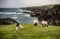 Achill head in county Mayo on the west coast of Ireland