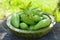 Achocha, Cyclanthera pedata healthy vegetables native to Mexico