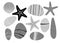 Achromatic Beach pebbles, starfish, shell set. Various grey shapes. Modern illustration in vector. Different shapes and