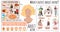 Acne causes. Medical banner with dermatology infographics. Girl problem skin with pimples, vector illustration