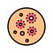 acne skin disease color icon vector illustration