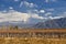 Aconcagua and Vineyard