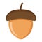 Acorn flat icon, nut and food, vector graphics