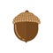 Acorn flat icon. Vector autumn symbol