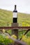 Acorn Hill Winery Sonoma California in Spring