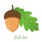 Acorn, leaf, oak nut, seed. Cartoon flat style. Vector illustration