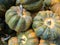 Acorn Squash