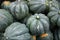 Acorn Squash