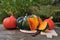 Acorn squash and orange Hokkaido pumpkins