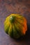 Acorn Squash Still Life