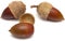 Acorns