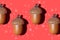 Acorns laying in a row on bright red background with hand drawn simple doodles