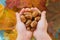 Acorns lie in children`s palms, against the background of autumn leaves. Horizontal photo., kind of sergiu Idea - autumn, gift,