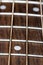 Acoustic Bass Guitar Fretboard Close Up