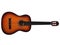 Acoustic guitar