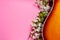 Acoustic guitar and blossoming cherry tree branches on pink  bright bold color background. Top view, close up, copy space
