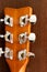 Acoustic guitar neck on a wooden background. Pin mechanism
