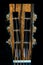 Acoustic Guitar Slotted Headstock in Rare Brazilian Rosewood