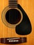 Acoustic Guitar with Vinyl Record for a Pick Guard