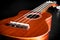 Acoustic Ukulele Hawaii guitar