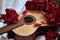 An acoustic wooden guitar lies on a white sheet surrounded by red peonies