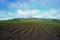 Acres of farming new vegetable crop planting agriculture Australia