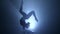 Acrobat girl in the circus. Smoke background. Slow motion. Silhouette