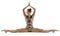 Acrobat Woman Doing Split, Gymnast Stretching Legs, Gymnastics