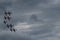 Acrobatic aircraft