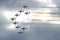 Acrobatic aircraft in formation
