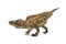 Acrocanthosaurus , Dinosaur on white background