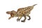 Acrocanthosaurus , Dinosaur on white background