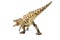 Acrocanthosaurus , Dinosaur on white background