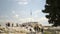 Acropolis Hill near Greek national flag people silhouettes tilt-shift,